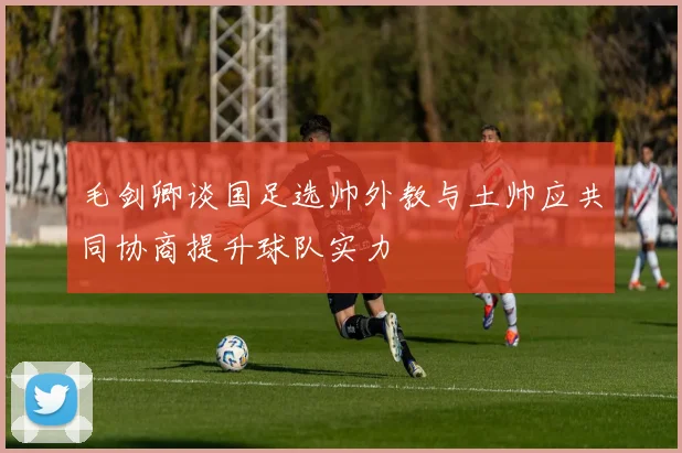 毛剑卿谈国足选帅外教与土帅应共同协商提升球队实力