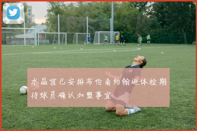 水晶宫已安排布伦南约翰逊体检期待球员确认加盟事宜